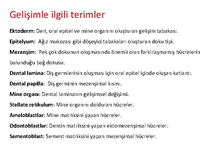 Gelişimle ilgili terimler Ektoderm: Deri, oral epitel ve mine organını oluşturan gelişim tabakası. Epitelyum: