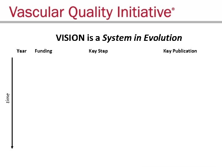 time VISION is a System in Evolution Year Funding 2014 NIH U 01 (Skinner)