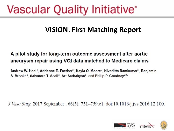 VISION: First Matching Report 