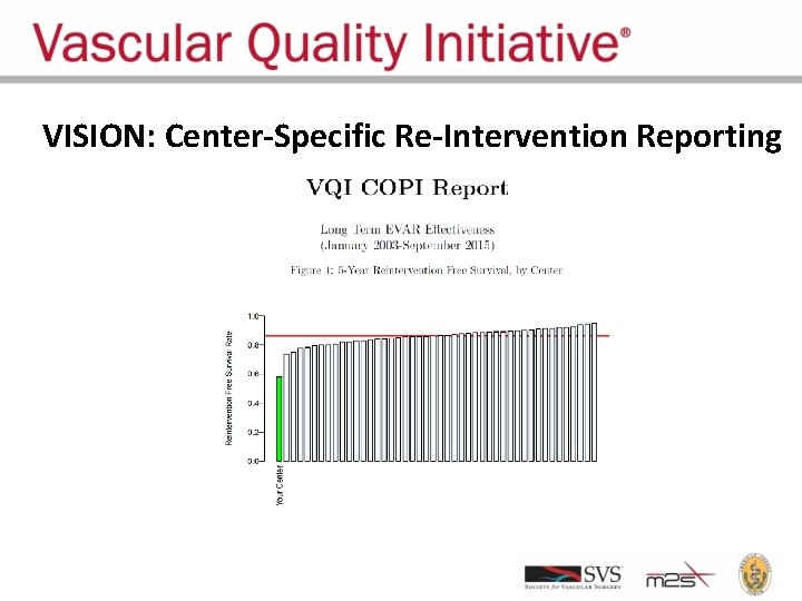 VISION: Center-Specific Re-Intervention Reporting 