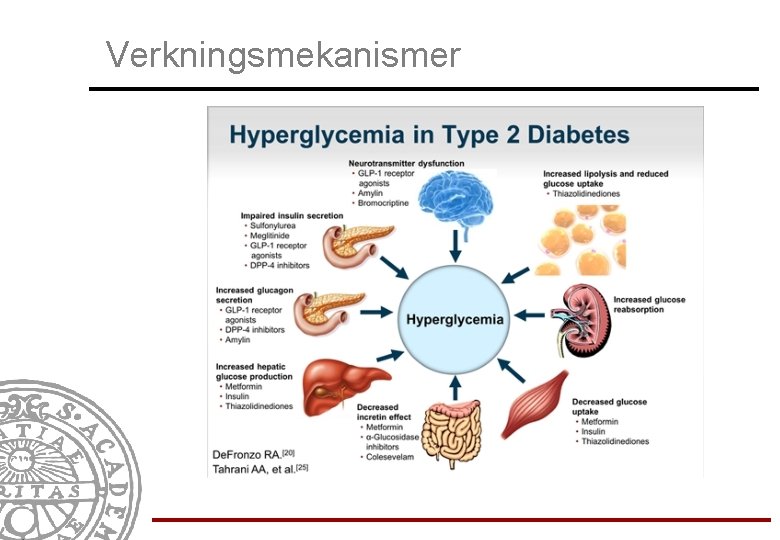 Verkningsmekanismer 