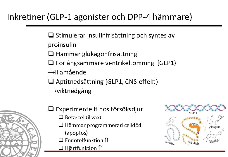 Inkretiner (GLP-1 agonister och DPP-4 hämmare) q Stimulerar insulinfrisättning och syntes av proinsulin q