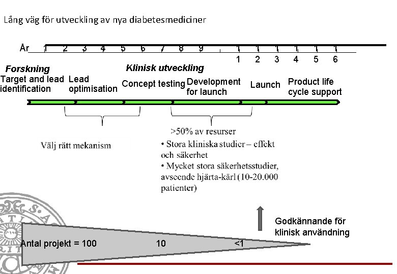 Lång väg för utveckling av nya diabetesmediciner År 1 2 3 4 5 6