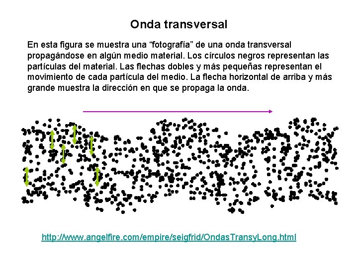Onda transversal En esta figura se muestra una “fotografía” de una onda transversal propagándose