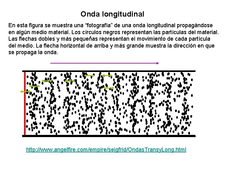 Onda longitudinal En esta figura se muestra una “fotografía” de una onda longitudinal propagándose