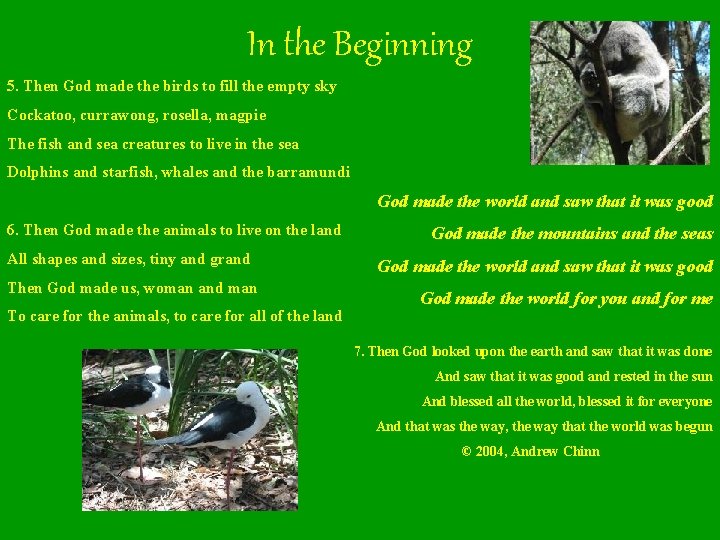 In the Beginning 5. Then God made the birds to fill the empty sky