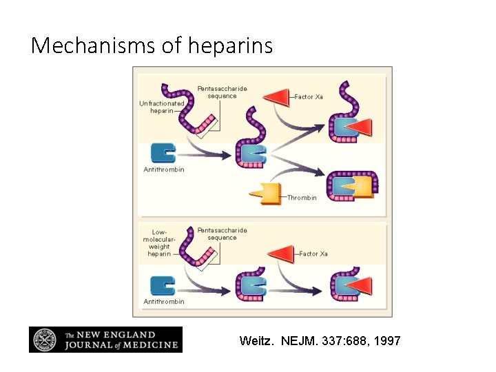 Mechanisms of heparins Weitz. NEJM. 337: 688, 1997 