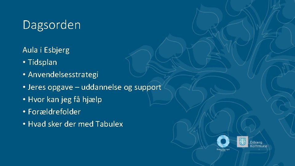 Dagsorden Aula i Esbjerg • Tidsplan • Anvendelsesstrategi • Jeres opgave – uddannelse og