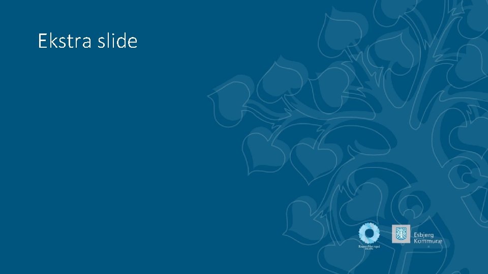 Ekstra slide 