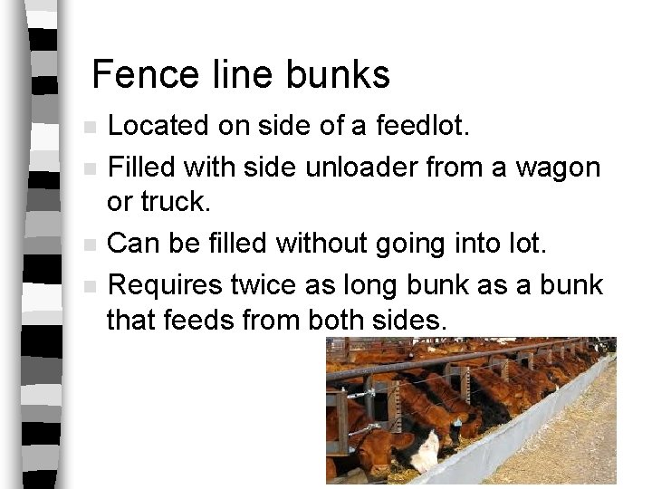 Fence line bunks n n Located on side of a feedlot. Filled with side