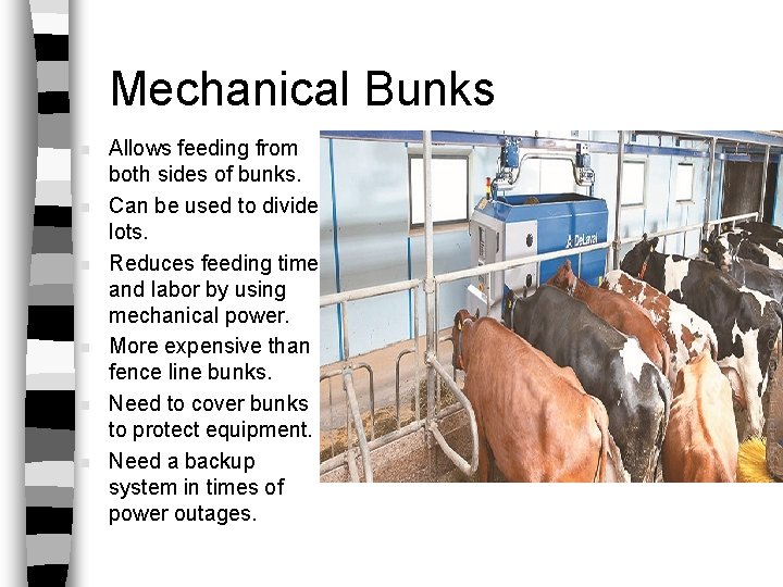 Mechanical Bunks n n n Allows feeding from both sides of bunks. Can be