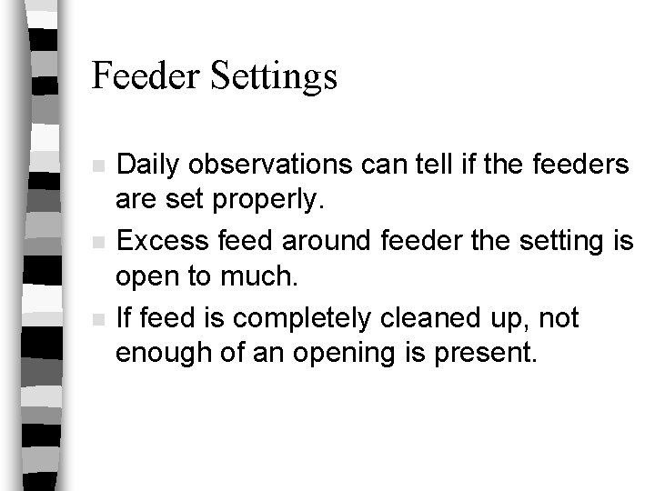 Feeder Settings n n n Daily observations can tell if the feeders are set