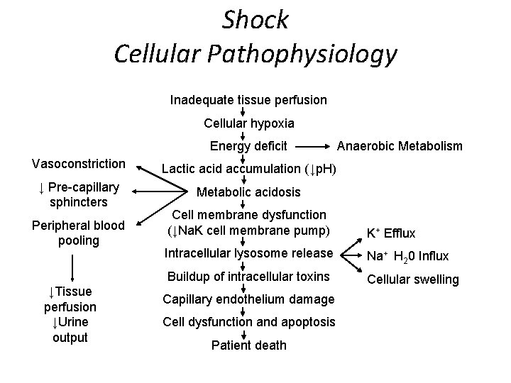 Shock Cellular Pathophysiology Inadequate tissue perfusion Cellular hypoxia Energy deficit Vasoconstriction Lactic acid accumulation