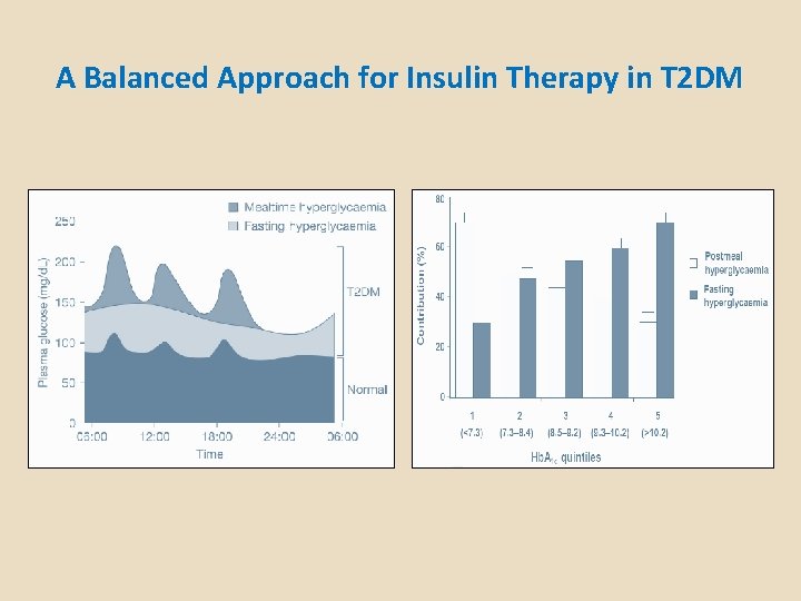 A Balanced Approach for Insulin Therapy in T 2 DM 