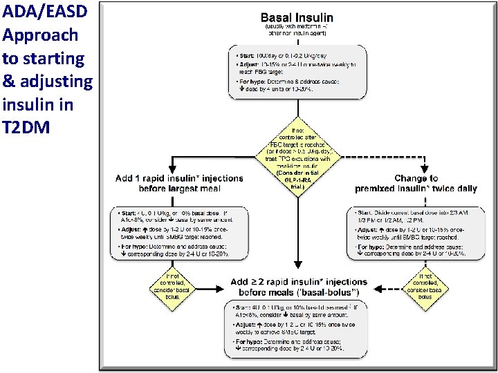 ADA/EASD Approach to starting & adjusting insulin in T 2 DM 