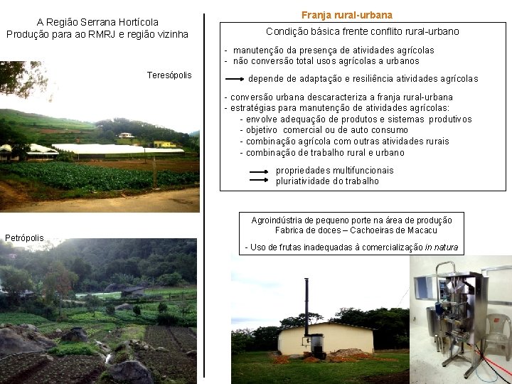 A Região Serrana Hortícola Produção para ao RMRJ e região vizinha Franja rural-urbana Condição