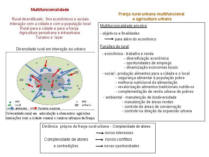 Multifuncionalidade Rural diversificado, fins econômicos e sociais Interação com a cidade e com a