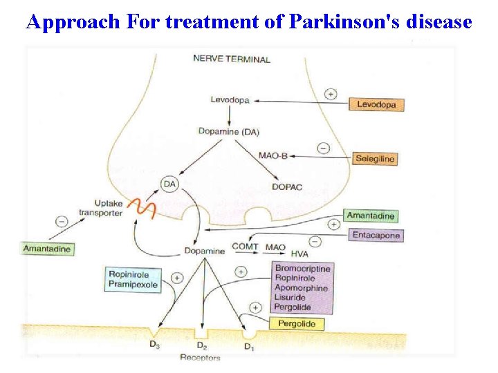 Approach For treatment of Parkinson's disease 