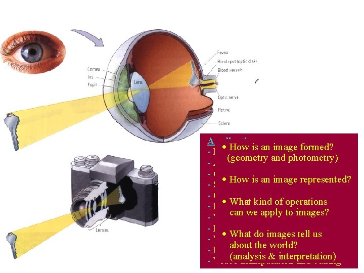 Applications: · How is an image formed? - Robot navigation (geometryvehicles and photometry) -