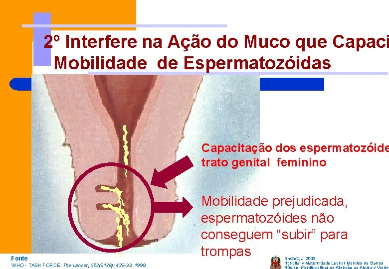 2º Interfere na Ação do Muco que Capaci Mobilidade de Espermatozóidas Capacitação dos espermatozóide