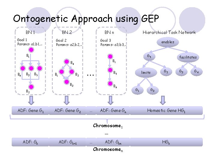 Ontogenetic Approach using GEP BN 1 Goal 1 Params: a 1, b 1, .