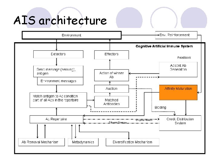 AIS architecture 