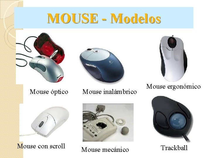 MOUSE - Modelos Mouse óptico Mouse con scroll Mouse inalámbrico Mouse mecánico Mouse ergonómico