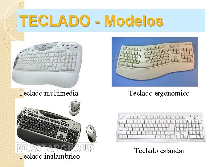 TECLADO - Modelos Teclado multimedia Teclado inalámbrico Teclado ergonómico Teclado estándar 