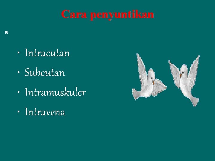 Cara penyuntikan 10 • • Intracutan Subcutan Intramuskuler Intravena 