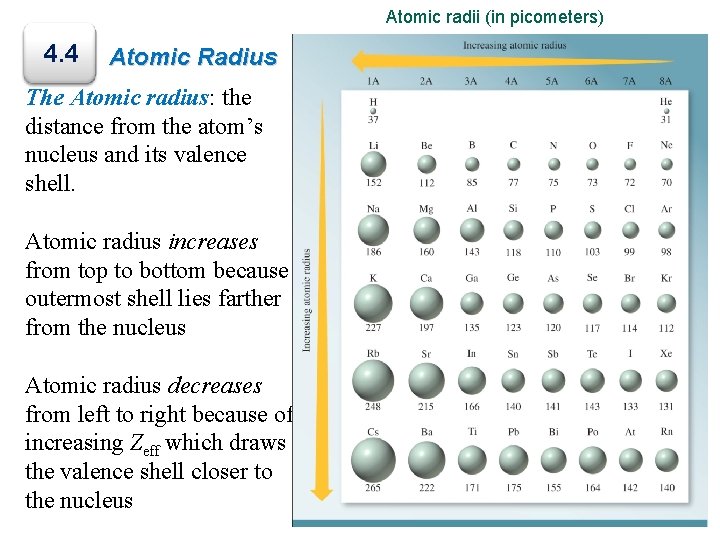 Atomic radii (in picometers) 4. 4 Atomic Radius The Atomic radius: the distance from