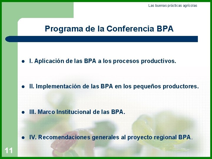 Las buenas prácticas agrícolas Programa de la Conferencia BPA 11 l I. Aplicación de