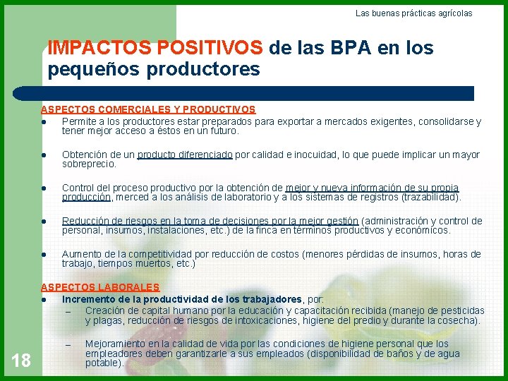 Las buenas prácticas agrícolas IMPACTOS POSITIVOS de las BPA en los pequeños productores ASPECTOS