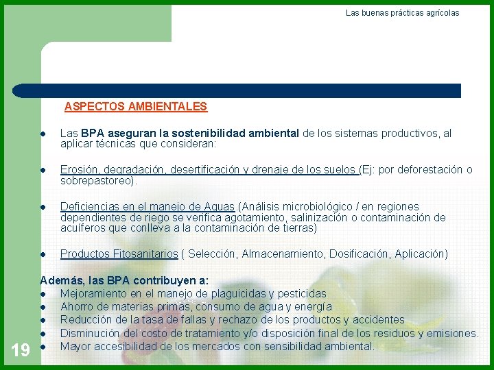 Las buenas prácticas agrícolas ASPECTOS AMBIENTALES 19 l Las BPA aseguran la sostenibilidad ambiental