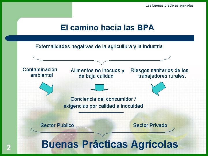 Las buenas prácticas agrícolas El camino hacia las BPA Externalidades negativas de la agricultura