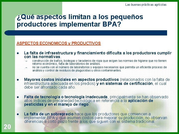 Las buenas prácticas agrícolas ¿Qué aspectos limitan a los pequeños productores implementar BPA? ASPECTOS