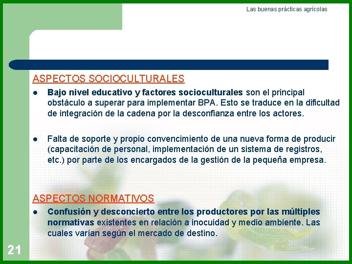 Las buenas prácticas agrícolas ASPECTOS SOCIOCULTURALES l Bajo nivel educativo y factores socioculturales son