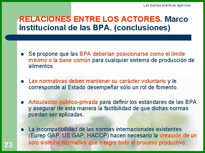 Las buenas prácticas agrícolas RELACIONES ENTRE LOS ACTORES. Marco Institucional de las BPA. (conclusiones)