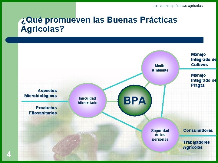 Las buenas prácticas agrícolas ¿Qué promueven las Buenas Prácticas Agrícolas? Medio Ambiente Manejo Integrado