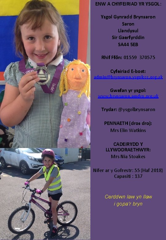 ENW A CHYFEIRIAD YR YSGOL: Ysgol Gynradd Brynsaron Saron Llandysul Sir Gaerfyrddin SA 44