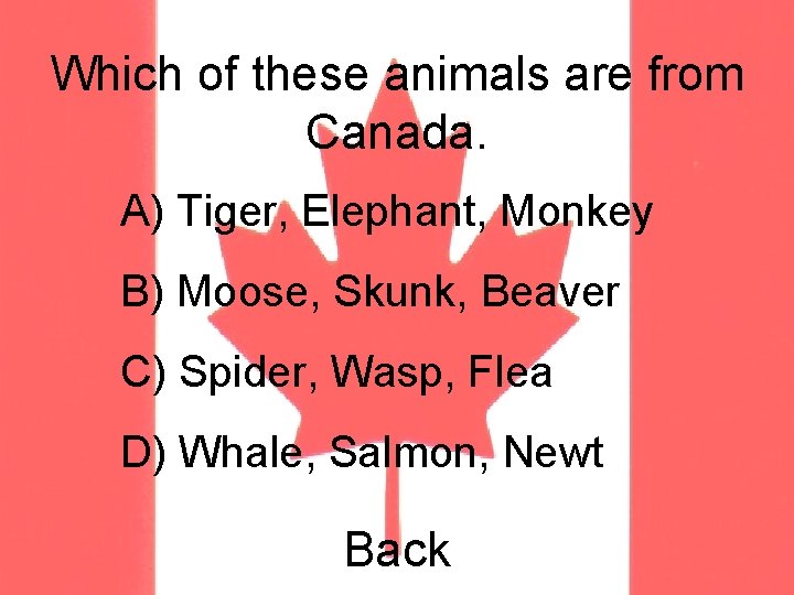 Which of these animals are from Canada. A) Tiger, Elephant, Monkey B) Moose, Skunk,