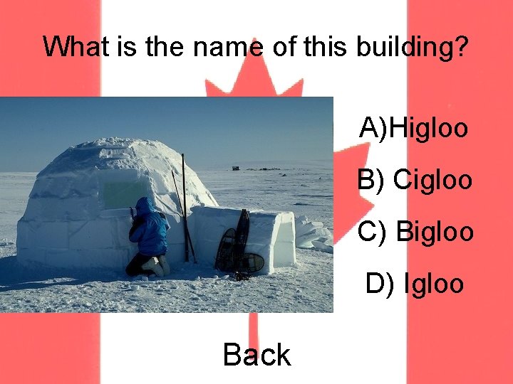 What is the name of this building? A)Higloo B) Cigloo C) Bigloo D) Igloo