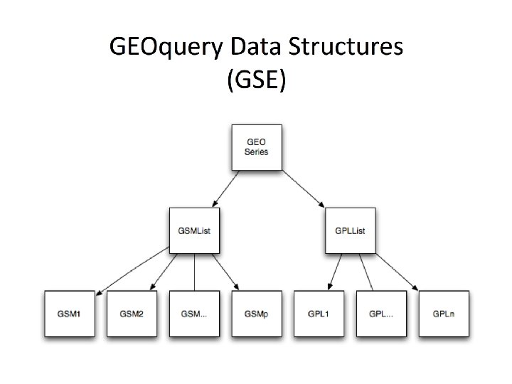 Platforms A Platform record describes the list of