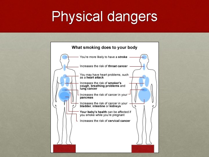 Physical dangers 