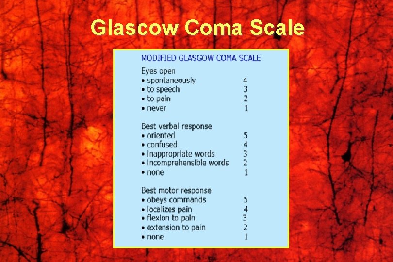 Glascow Coma Scale 