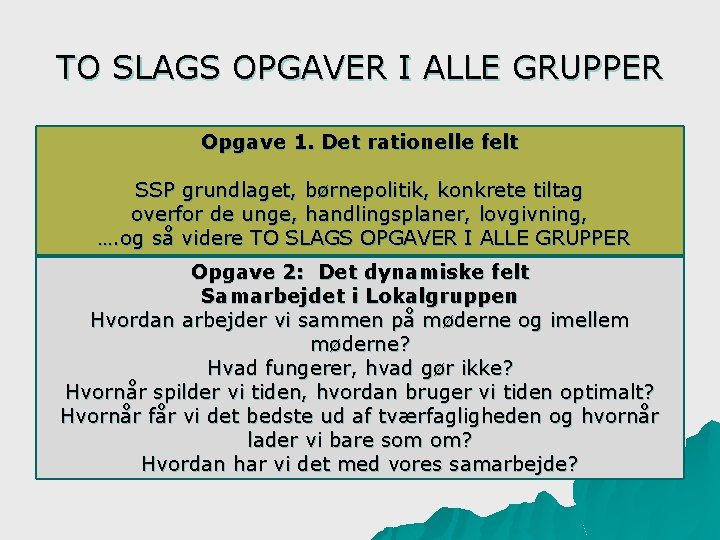 TO SLAGS OPGAVER I ALLE GRUPPER Opgave 1. Det rationelle felt SSP grundlaget, børnepolitik,