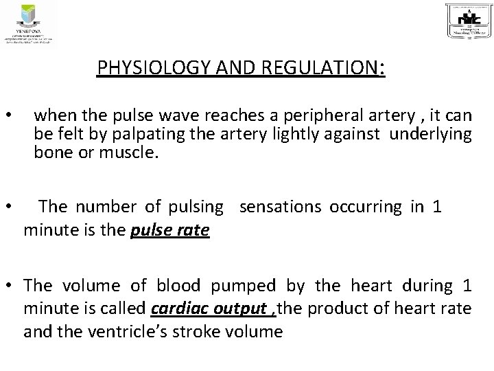 PHYSIOLOGY AND REGULATION: • when the pulse wave reaches a peripheral artery , it