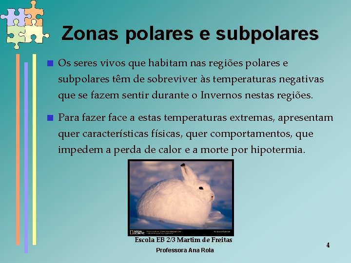 Zonas polares e subpolares < Os seres vivos que habitam nas regiões polares e