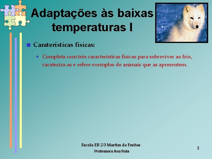 Adaptações às baixas temperaturas I < Caraterísticas físicas: • Completa com três características físicas