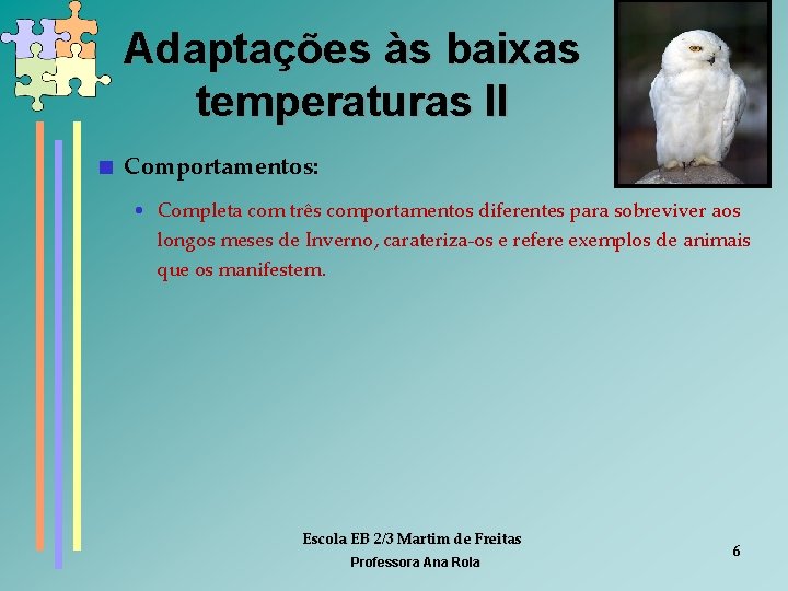 Adaptações às baixas temperaturas II < Comportamentos: • Completa com três comportamentos diferentes para