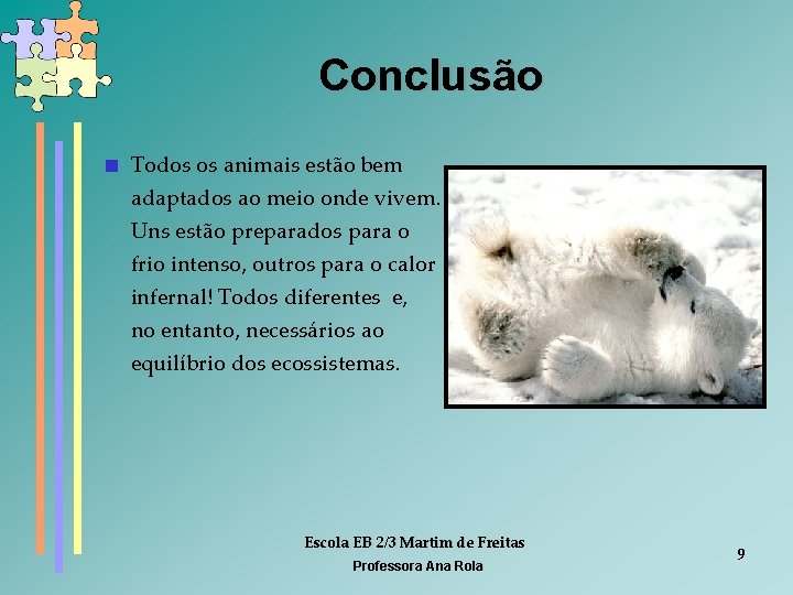 Conclusão < Todos os animais estão bem adaptados ao meio onde vivem. Uns estão